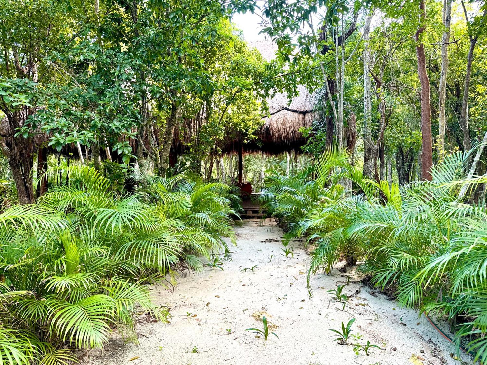 Hotel Glamping Bunga Lotus Tulum Exterior foto